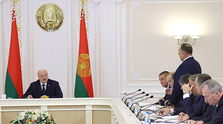 Лукашенко: необходима модернизация свиноводческих комплексов по аналогии с МТК