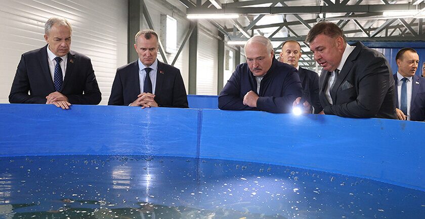 Не медлить и не бояться. Почему Лукашенко уверен в будущем белорусской рыбной отрасли