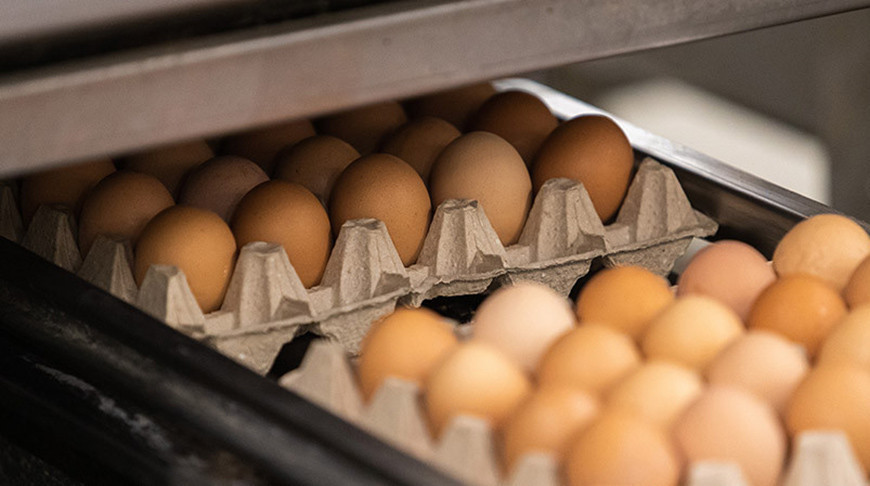 Сколько планируется произвести продукции животноводства в 2024 году, рассказали в Минсельхозпроде