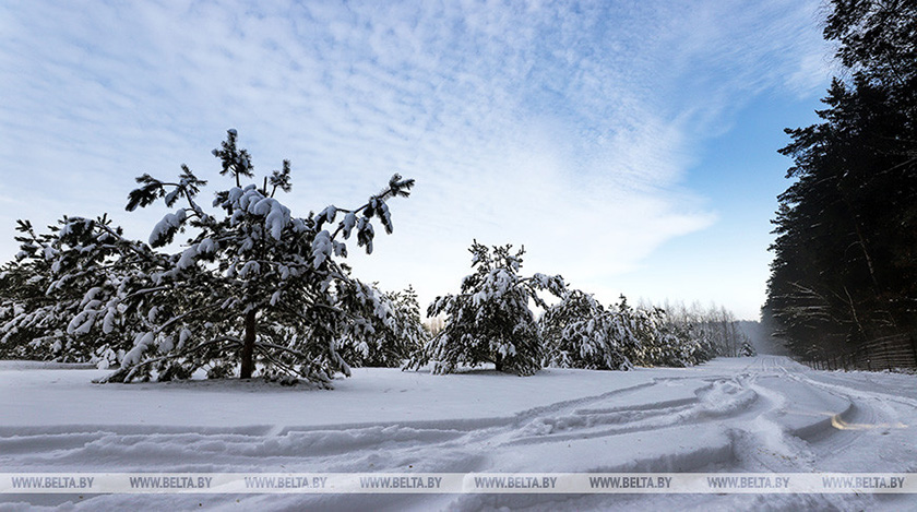 Оранжевый уровень опасности из-за сильного снега продлен в Могилевской области на 16 декабря
