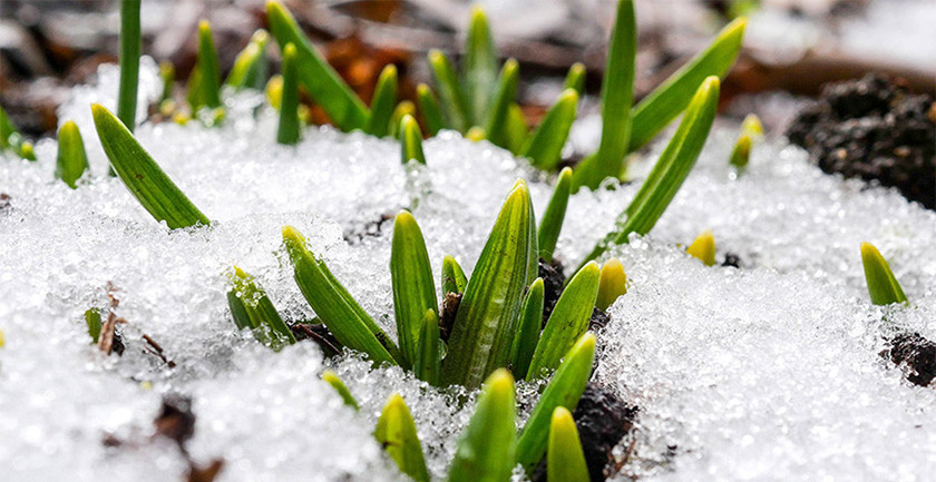 Оранжевый уровень опасности из-за сильного ветра объявлен в Беларуси на 14 марта