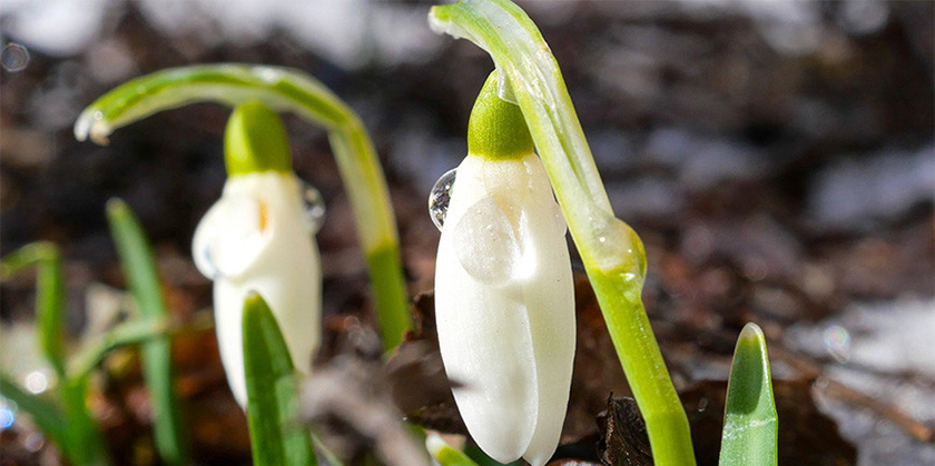 До +11°С ожидается в Беларуси 15 марта