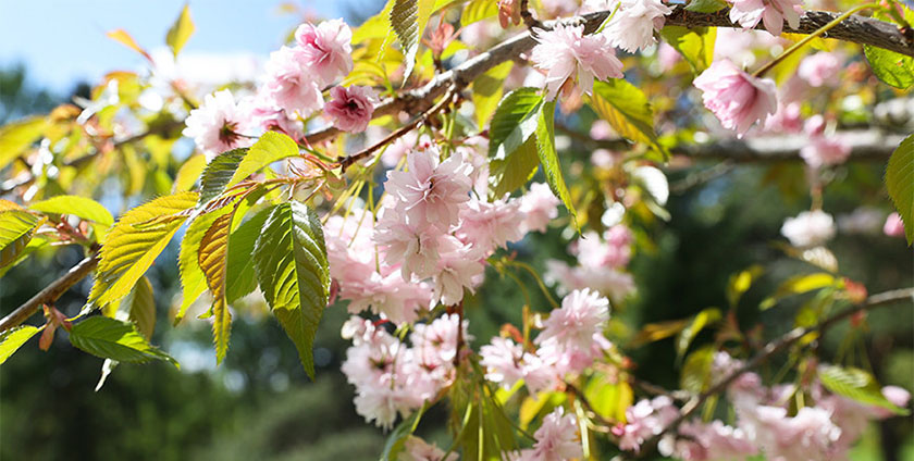 В Беларуси средняя температура воздуха в апреле была выше нормы