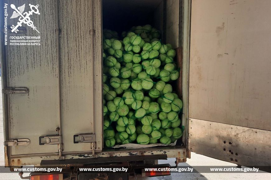 За неделю таможенники пресекли 5 попыток незаконно вывезти из Беларуси 95 т свежей капусты, в том числе и в Горецком районе