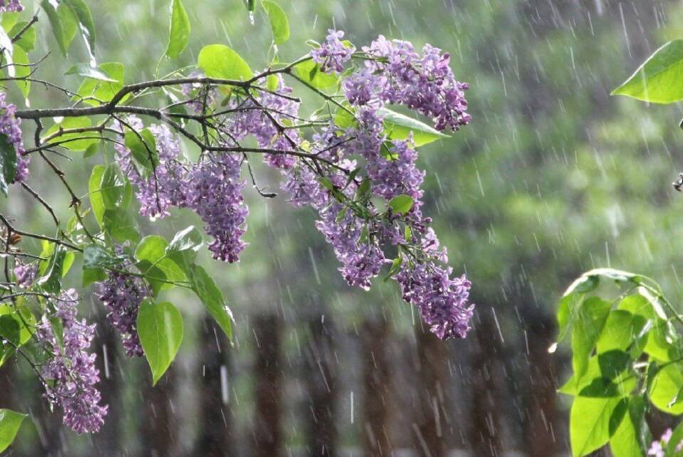 Вы знаете, что опасно делать в грозу? Читайте рекомендации спасателей