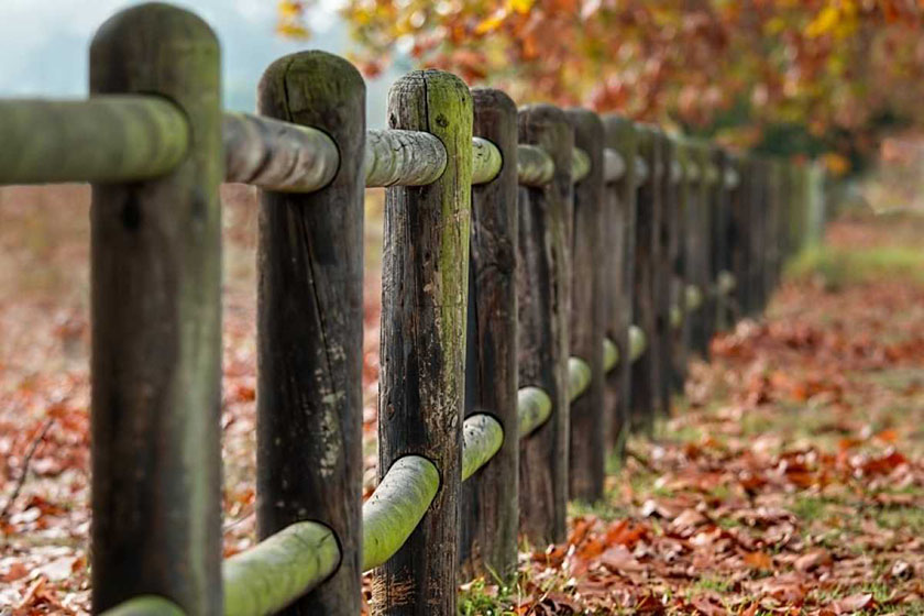 Народные приметы на 5 ноября 2022 года: что нельзя делать в этот день