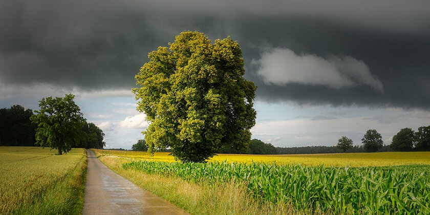 Кратковременные дожди и до +30°С будет в Беларуси 13 июля