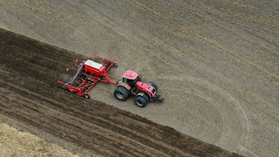 В Беларуси яровые культуры посеяли более чем на половине площадей