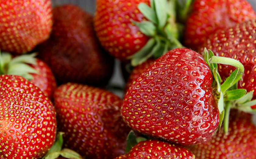 Чем обработать клубнику от долгоносика