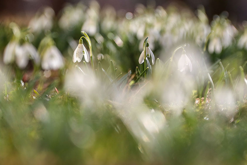Погода на неделю: ночные заморозки (возможен мокрый снег) и похолодание в дневные часы