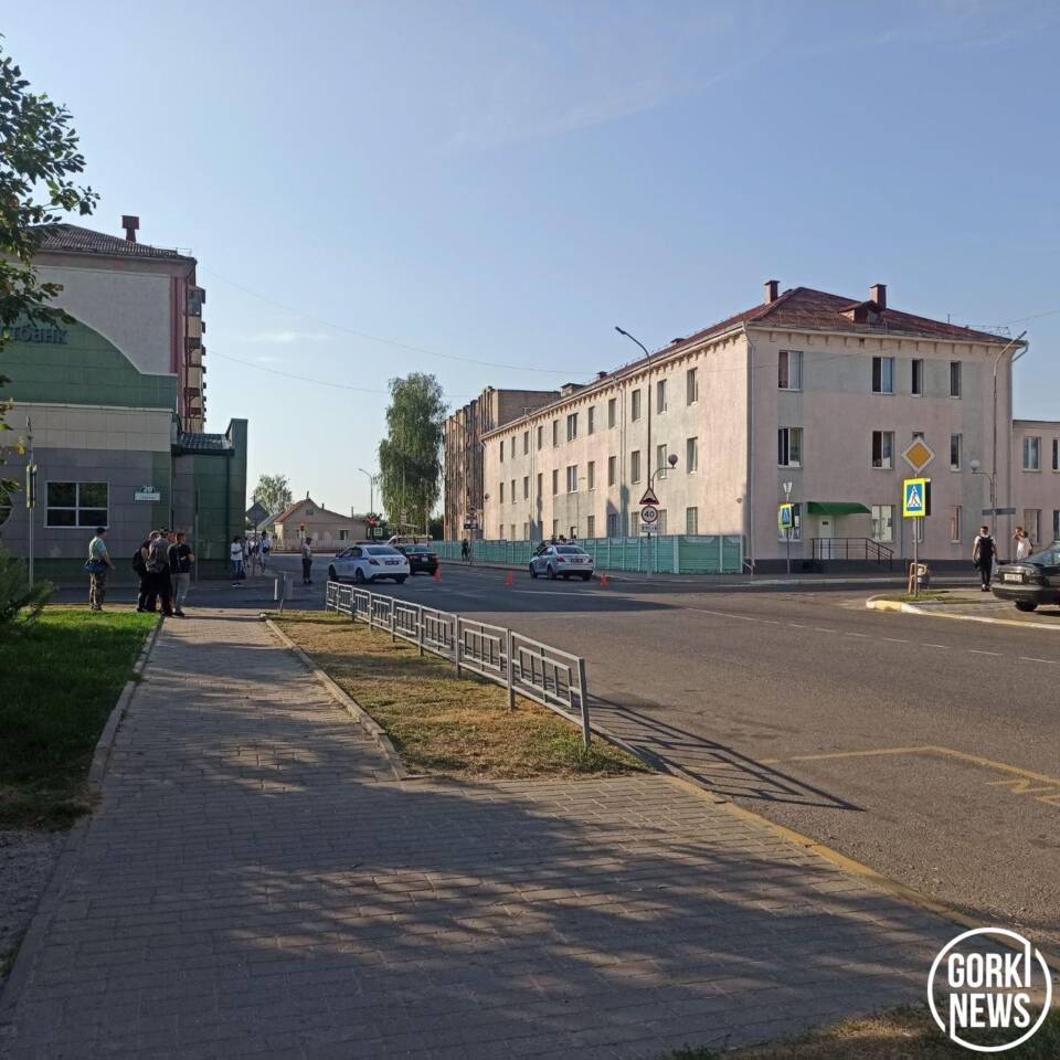 В результате ДТП в Горках травмирован пешеход