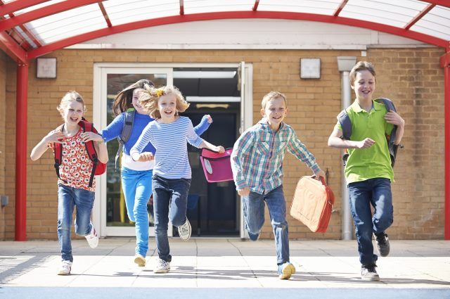 Стали известны даты школьных каникул в 2022/2023 учебном году