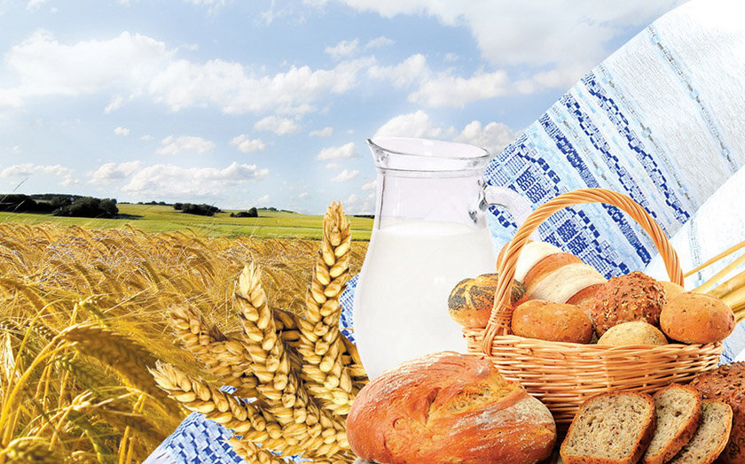 Районные «Дажынкі-2023» пройдут в агрогородке Ленино 30 сентября. В программе – салют!