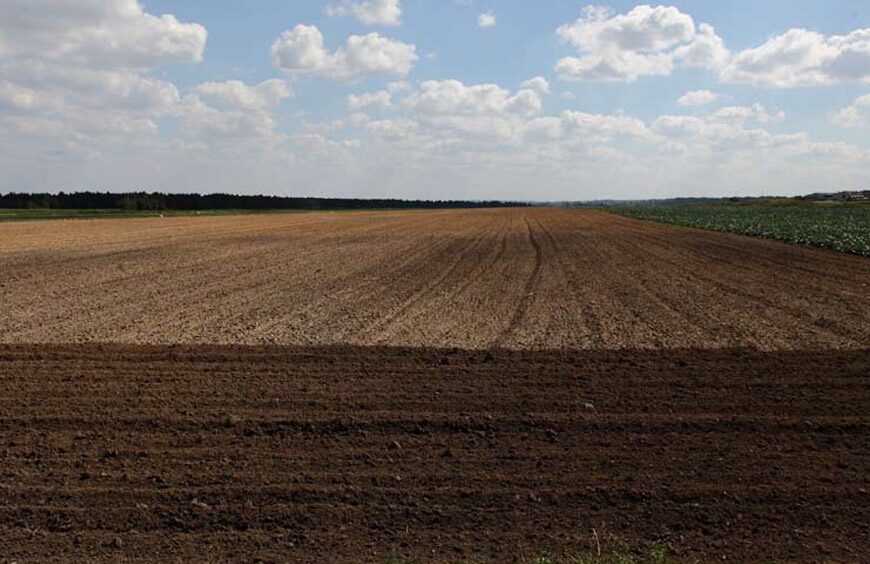 ООН: в Украине треть полей непригодна для посева, в мире грядет продовольственная катастрофа