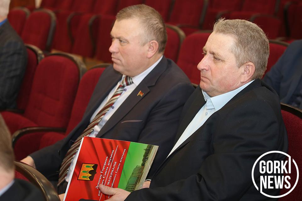 В этом году в Горецком районе запланировано заасфальтировать 12 улиц