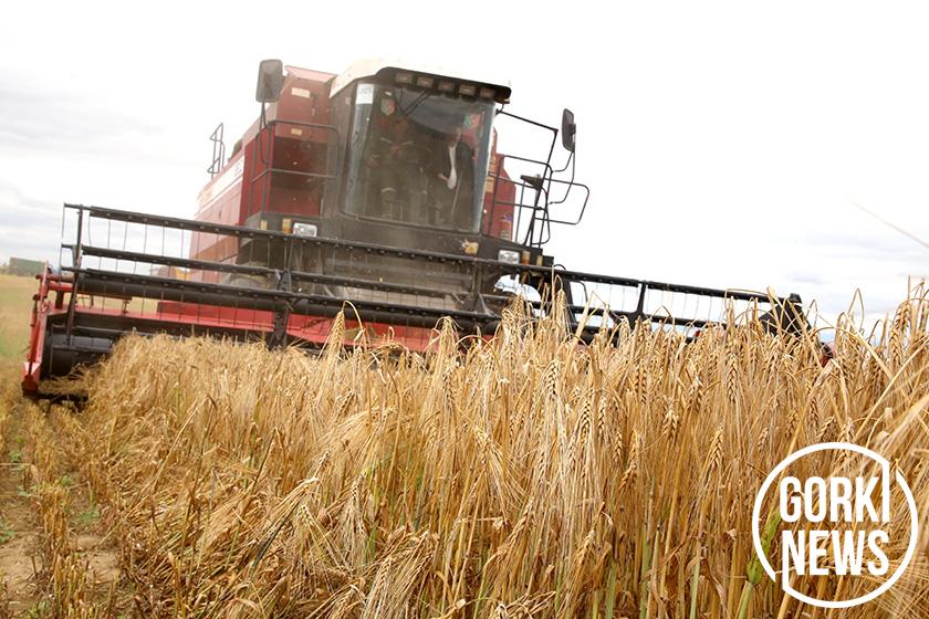 Первые — по темпам, вторые — по урожайности