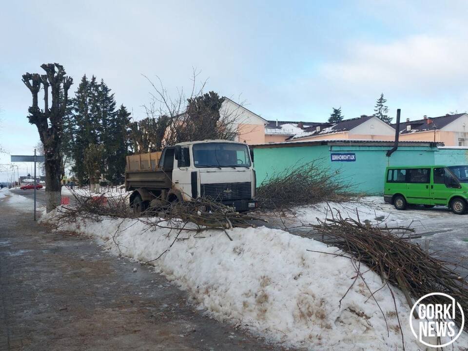 Читатель обозначает проблему: когда уберут ветки?