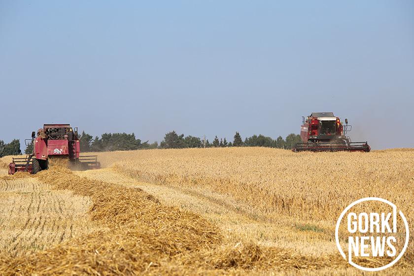 Передовики на жатве