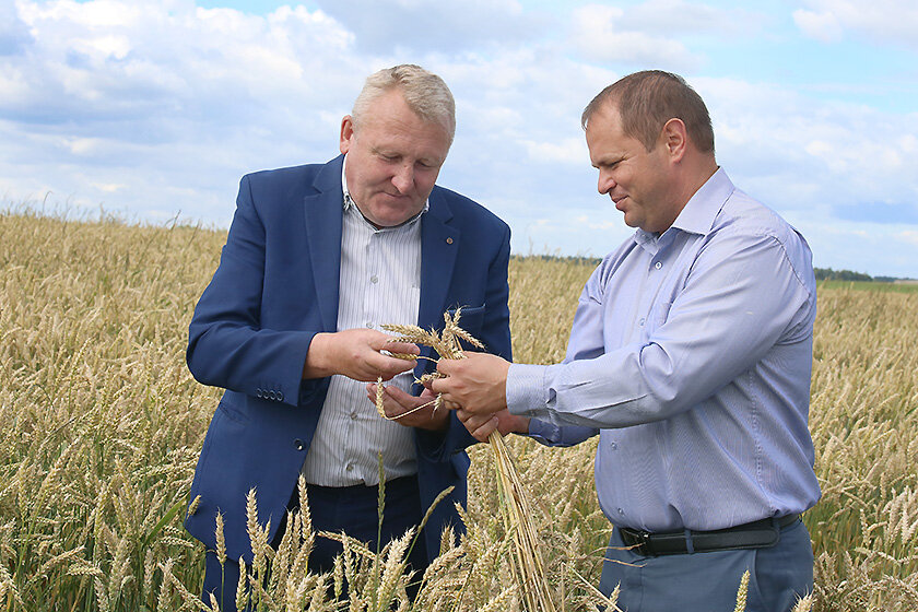 Посмотрите, как прошел районный праздник «Зажинки-2022» (фото и видео материалы)