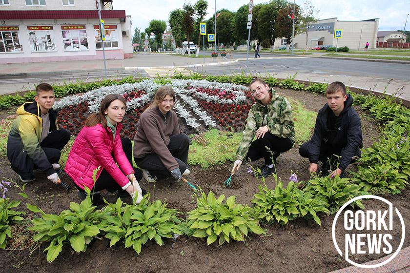 Горки заиграли яркими красками: как в районе реализуют концепцию цветочного оформления