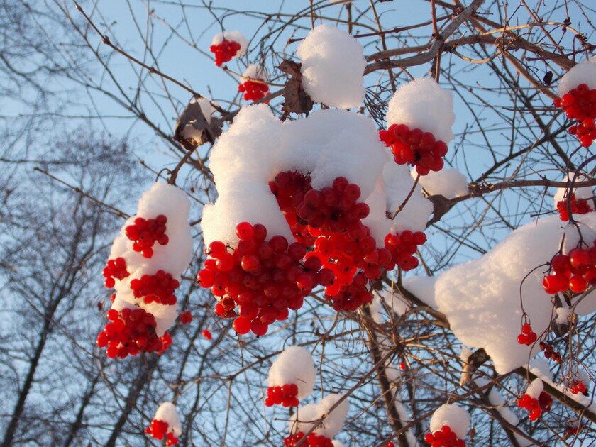 Конкурс на лучшее фото недели