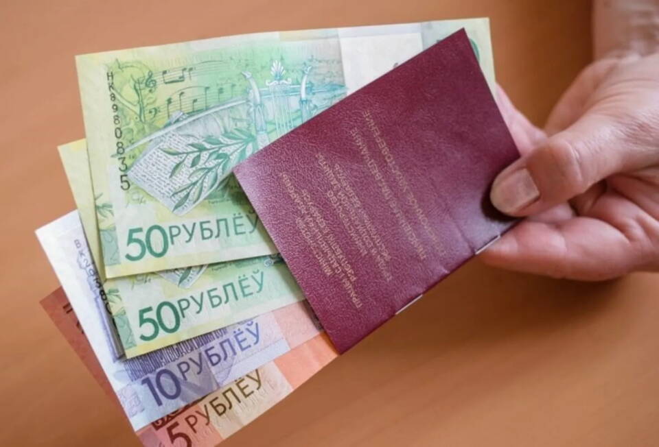 Особенности механизма добровольного страхования дополнительной накопительной пенсии