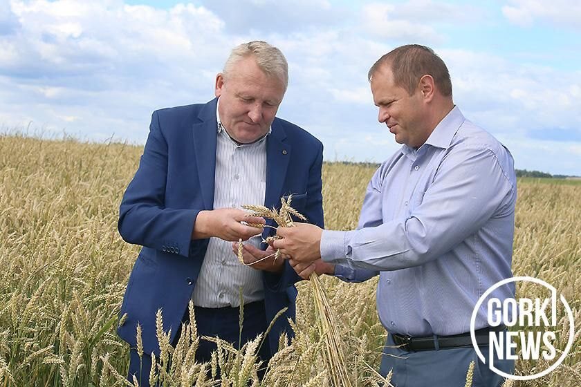 Председатель райисполкома Михаил ГУЛЫЙ: «Горецкий район к жатве готов!»
