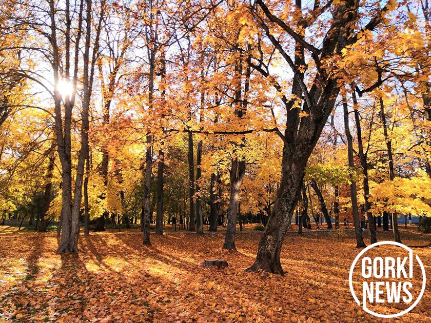 Ученые рассказали, как справиться с осенней хандрой