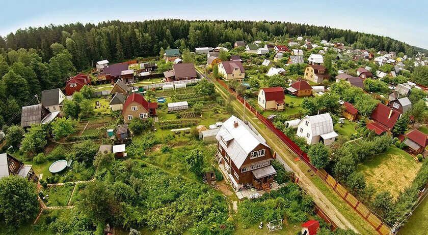 Лукашенко подписал указ «О садоводческих товариществах». Что изменится?