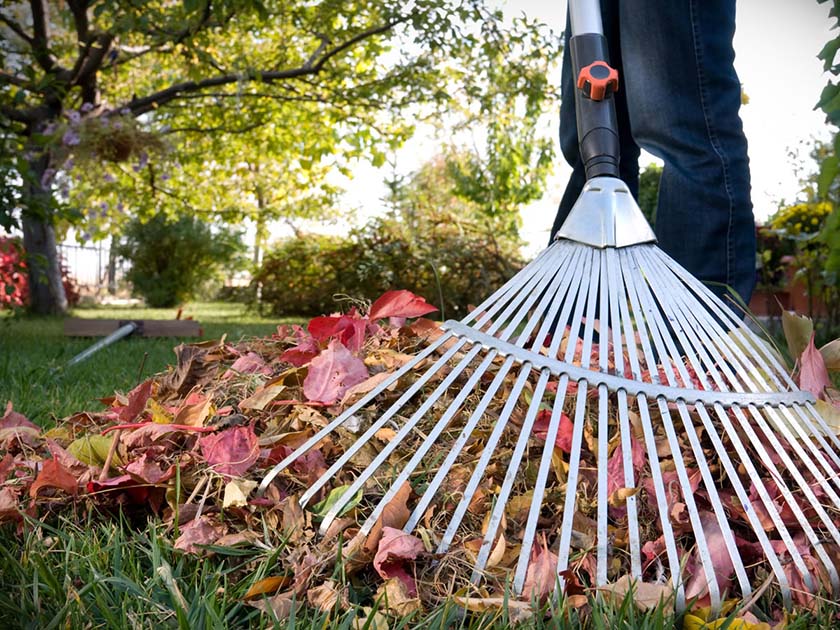 Наведем порядок вместе! 15 июля пройдет день безвозмездного труда