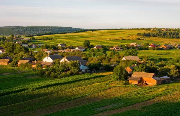 Инфраструктура, соцусловия. Какие идеи по развитию села поступили на онлайн-платформу «Народная пятилетка»