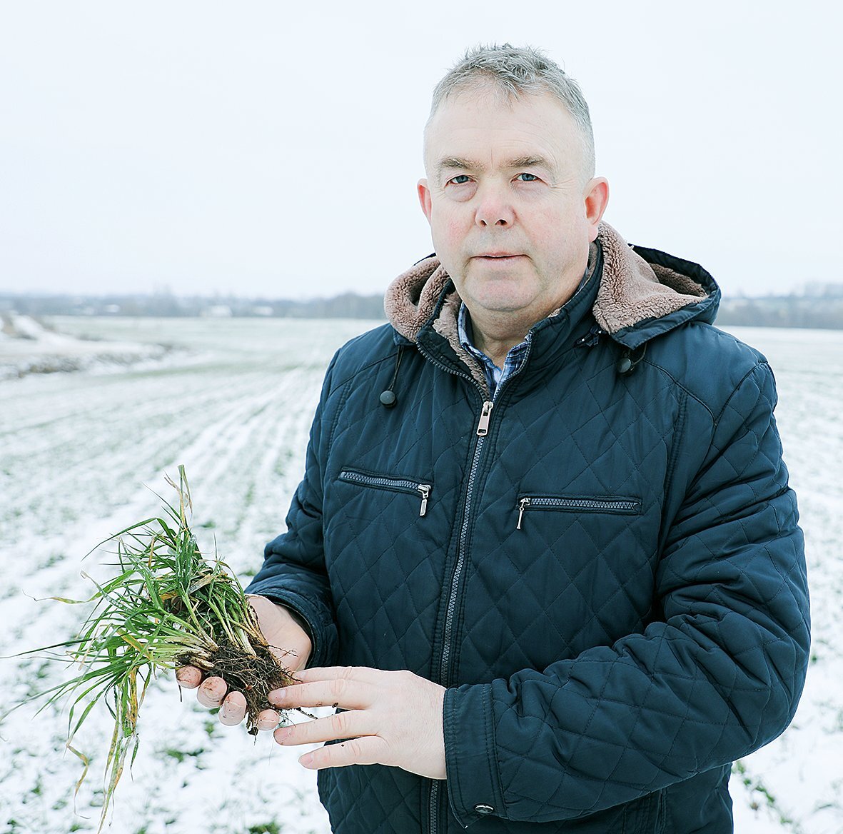 Нравится возделывать сельхозкультуры: главный агроном Николай Рябцев о любимой работе и высоких урожаях
