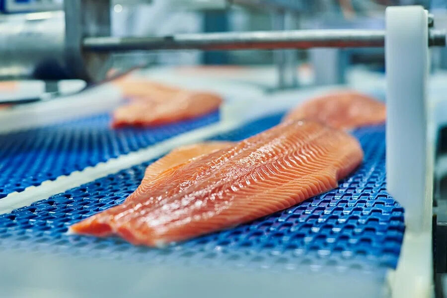 Массово производить красную рыбу начнут в Беларуси