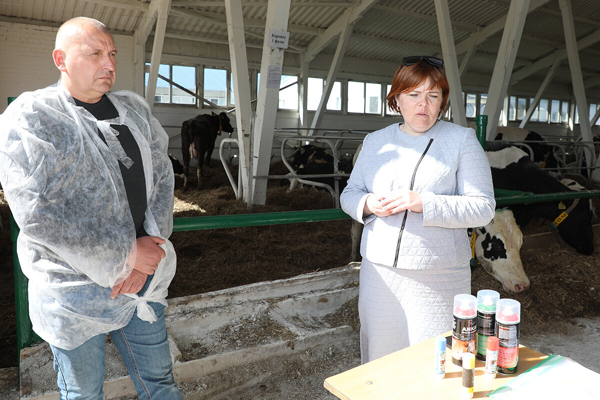 Районный семинар-совещание по животноводству на МТК «Песочня» ОАО «Коптевская Нива»