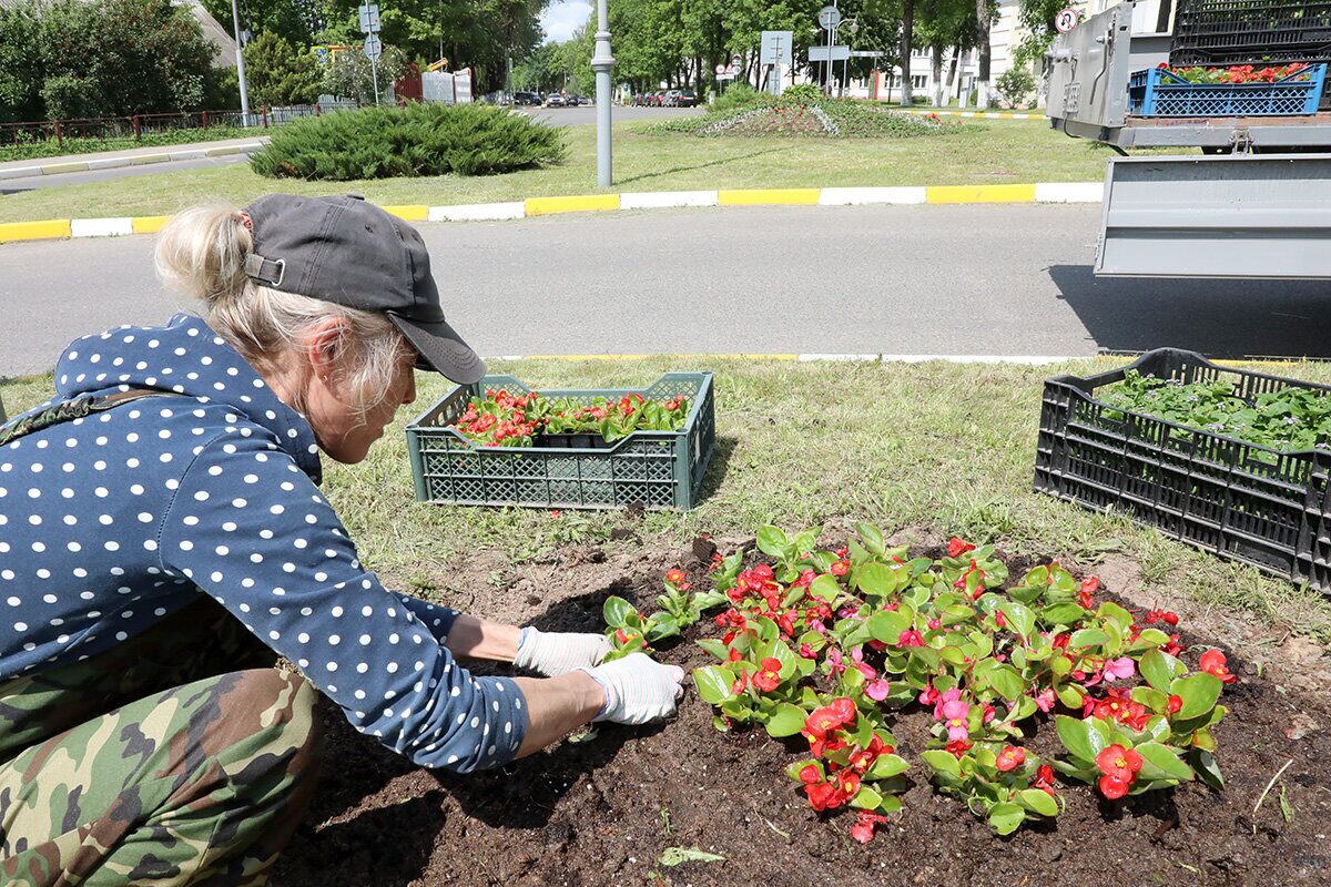 Работы по благоустройству продолжаются. Озеленители стараются сделать наш город ярче и краше