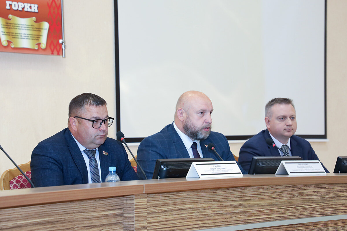 XII сессия районного совета депутатов 29-го созыва: один из ключевых вопросов – реализация Указа № 116 от 24 марта 2021 года