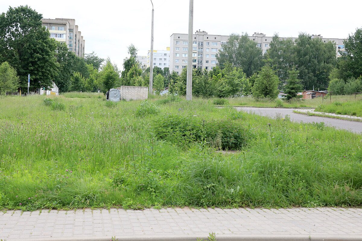 Дело «Трава», или Где в Горках не ступала нога косца