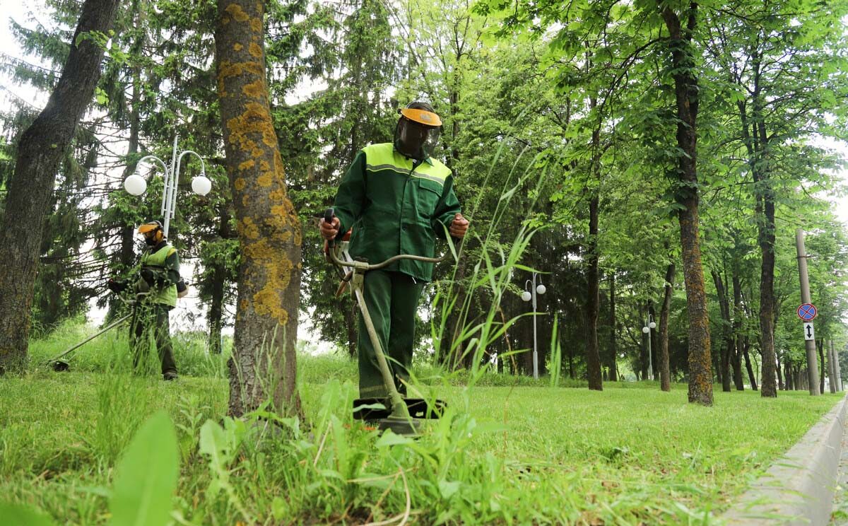 Покос травы – работа с повышенной опасностью. В Минтруда рассказали, кто может этим заниматься