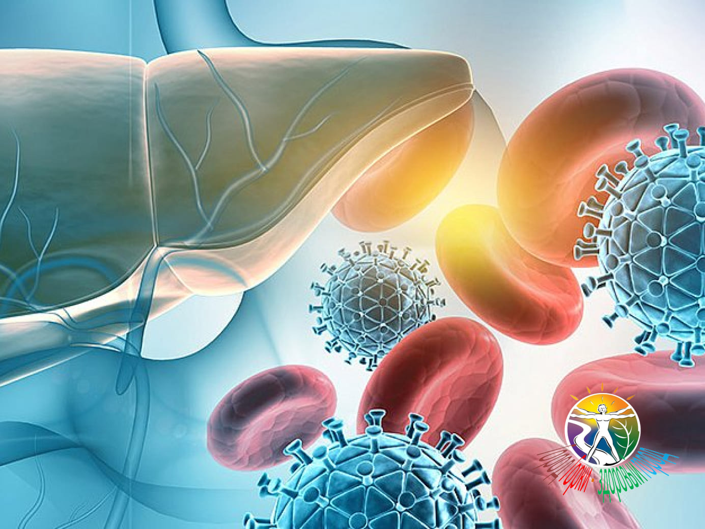 Гепатит B: что нужно знать, чтобы уберечь себя и родных?