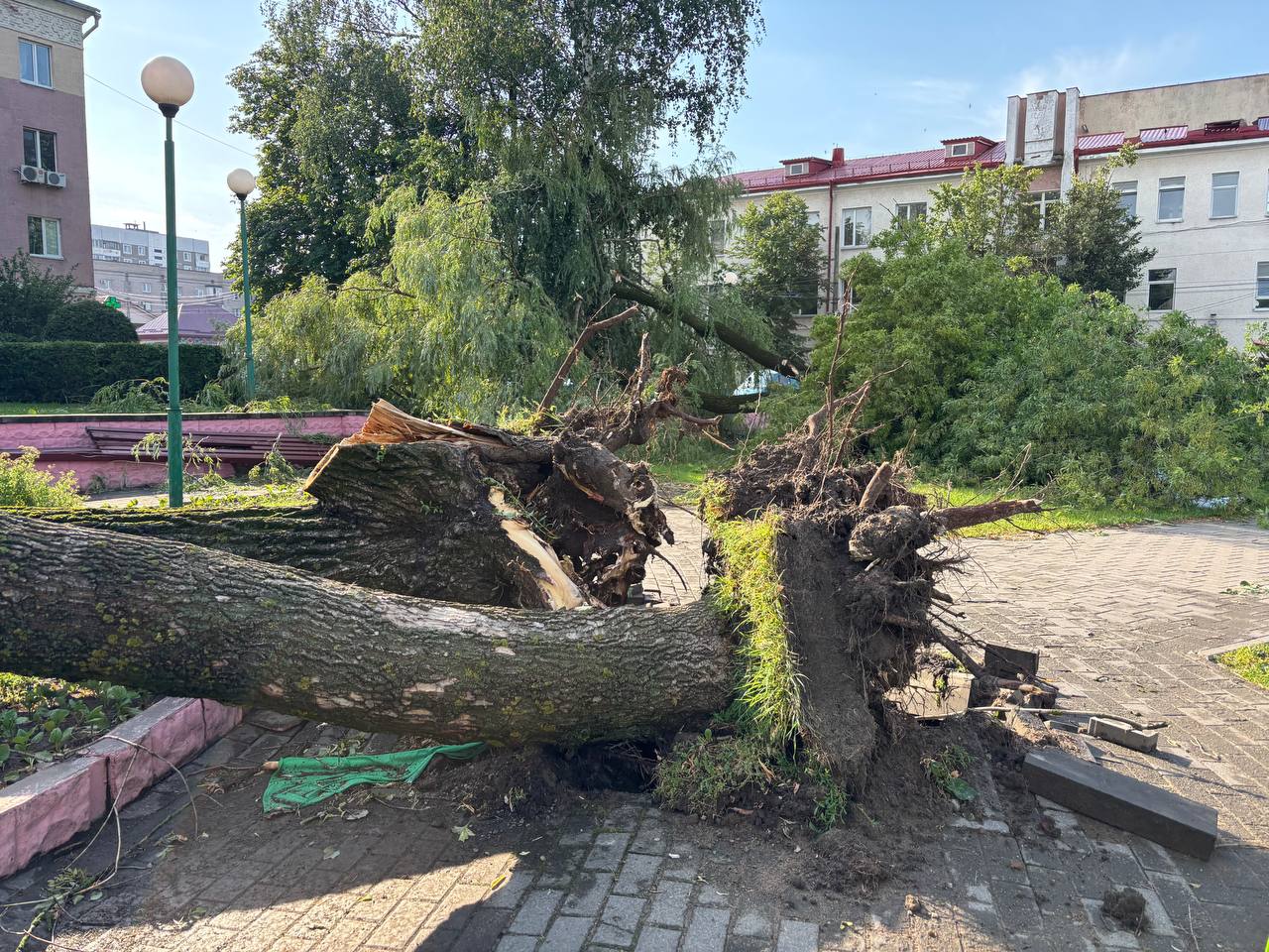 Последствия непогоды в Могилеве (фоторепортаж)