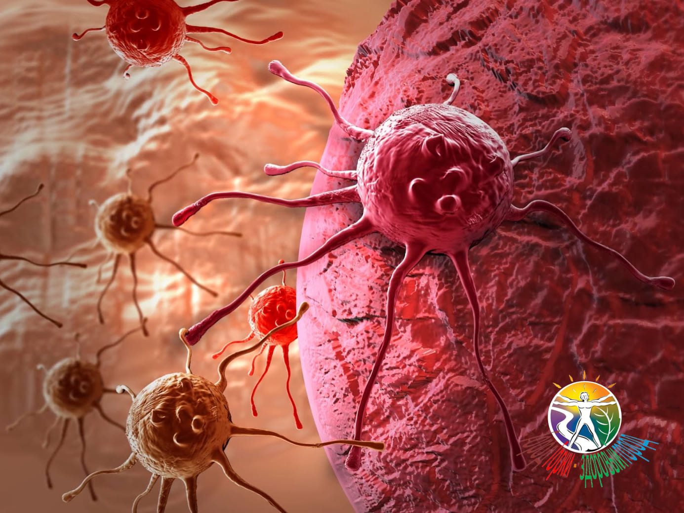 Введение в онкологию: понятие рака, его стадии и симптомы