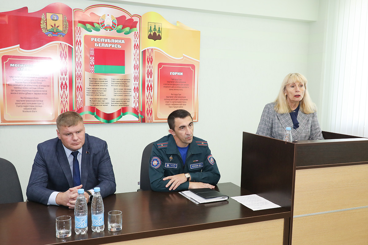 «День народного единства: значение мира и согласия»: в Горецком РОЧС прошел Единый день информирования