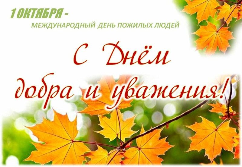 Владимир Павловский поздравляет ветеранов труда и представителей старшего поколения с Международным днем пожилых людей