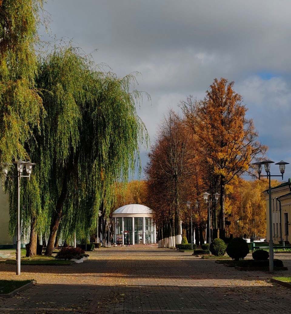 Фотозарисовка: золотая осень в Горках