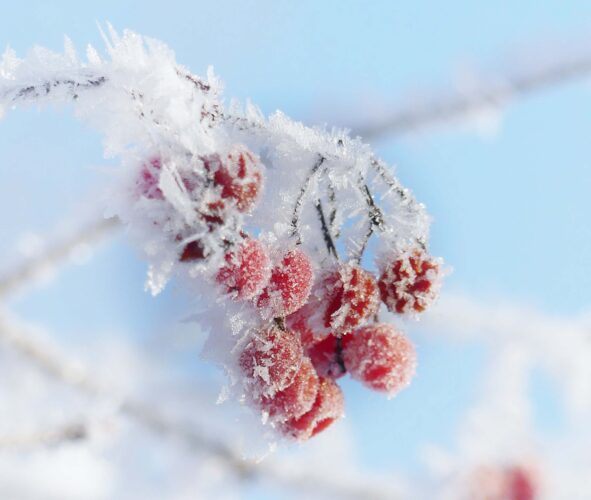 Народные приметы на 17 декабря 2025 года: что нельзя делать в этот день