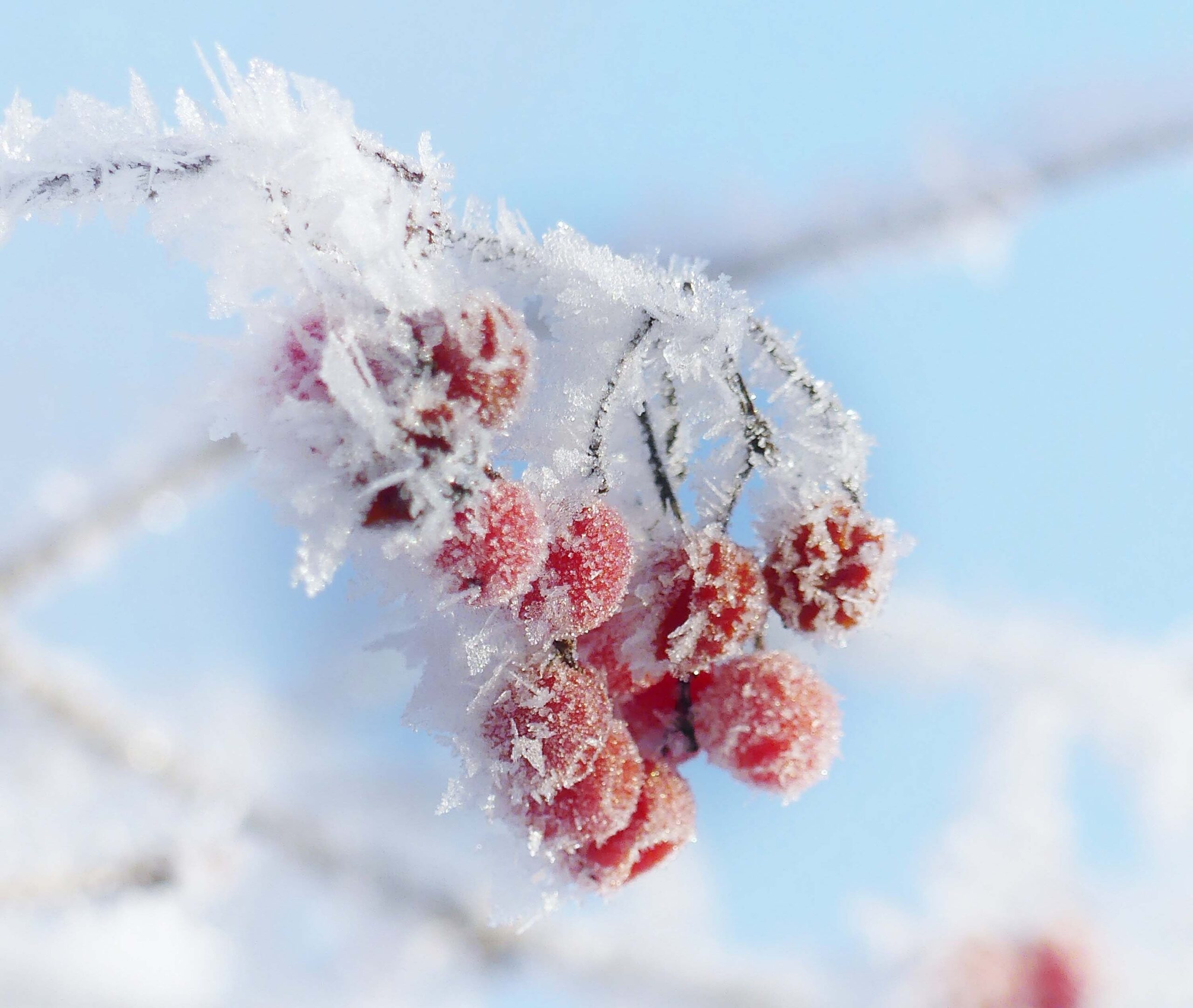 Народные приметы на 17 декабря 2025 года: что нельзя делать в этот день