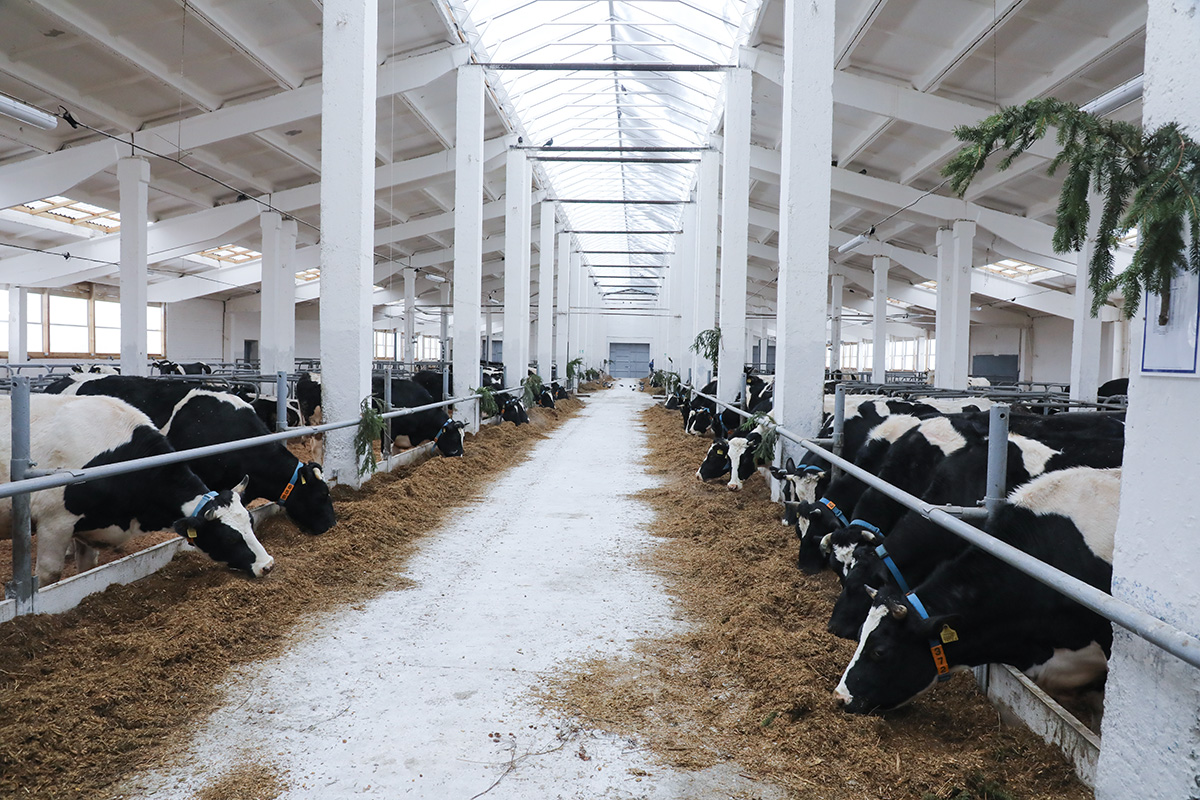 В СЗАО «Горы» после реконструкции открыли МТК «Горы»