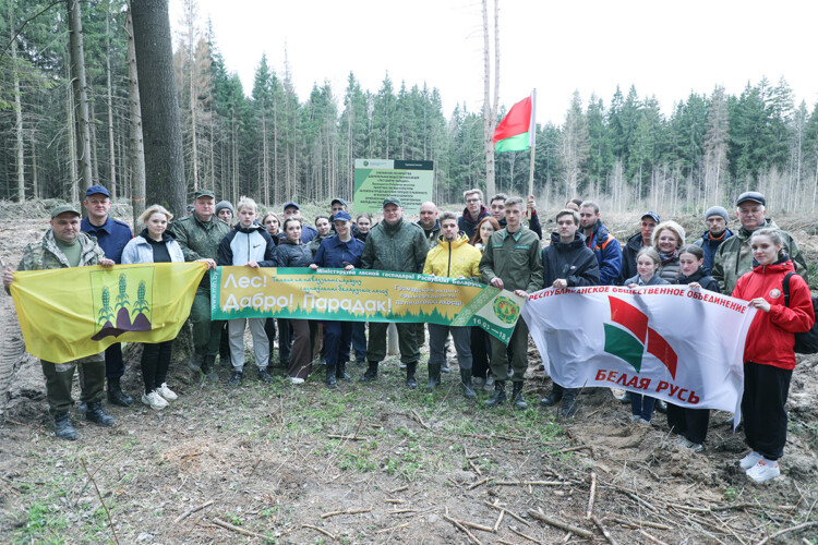 Руководство района и молодые специалисты протянули руку помощи природе, высадив дуб и бук около агрогородка Сава