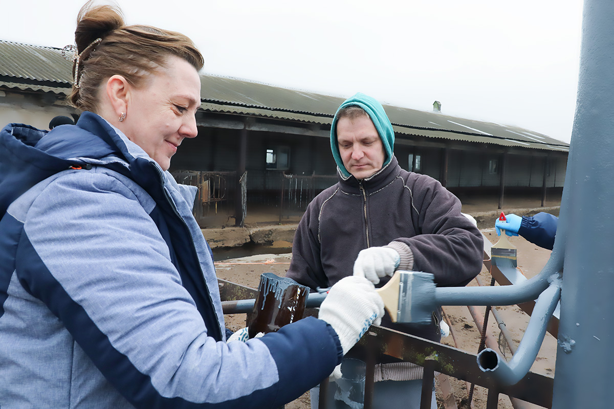 На помощь в наведении порядка на территории РУП «Учхоз БГСХА» прибыл трудовой десант академии