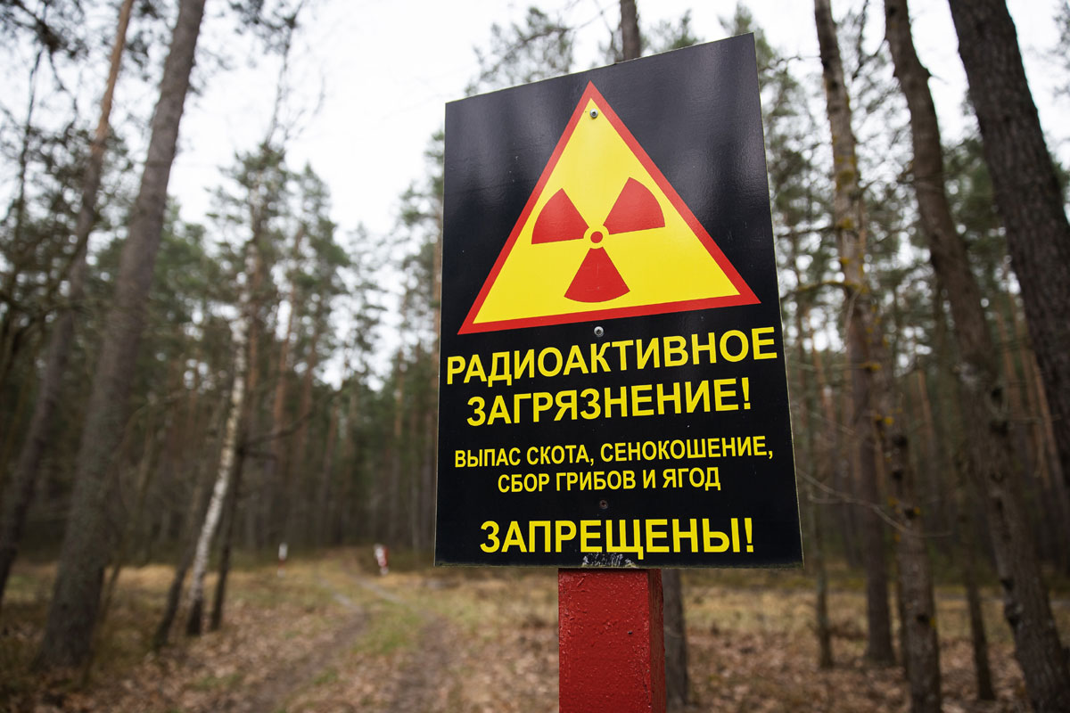 Соцзащита, оздоровление, сельское хозяйство. Как продолжат работу по чернобыльской тематике в 2026-2030 годах